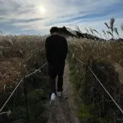 しょへの画像