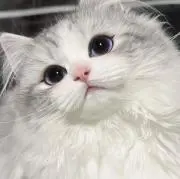 u._.uの画像