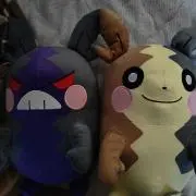 dddd2002の画像