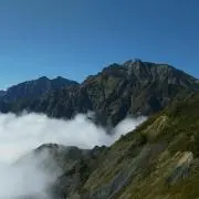 どうでしょうの画像