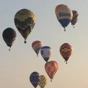 むろすけの画像