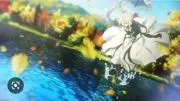 蓮の画像