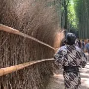 Fumi