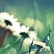 Lilian.°⑅の画像