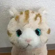 ずみィ