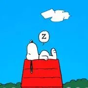 Mまみ