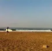 shinokei