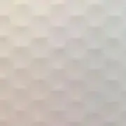 ビワ☆プロフ必読