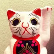 モモネコの画像