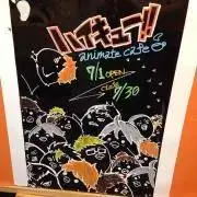 Toの画像