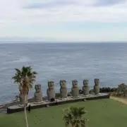 Mi