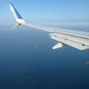 はっぴーたーんの画像