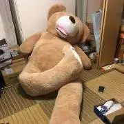 くま