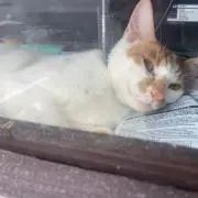 川の画像