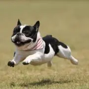 こざーさんの画像