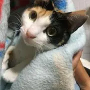 ゆりぞうの画像