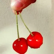 なつ