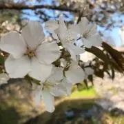 ママ☆プロフィール見てくださいの画像
