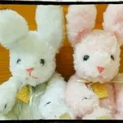 うさこの画像
