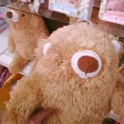 ぽっぽの画像