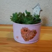 まゆちいの画像