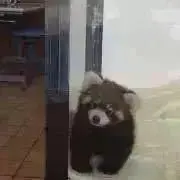 コリトママ即購入OKです(*≧∀≦*)の画像