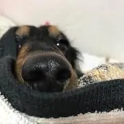 coco❤︎