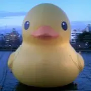 すず