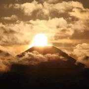 haruの画像