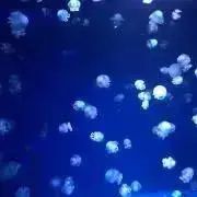 ナカ