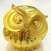 カピ太郎