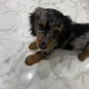 れお
