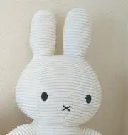 y24の画像