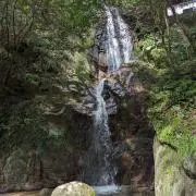 ポップの画像