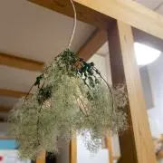 かなママ