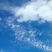 aoyamaの画像