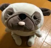 ぶーちゃんの画像