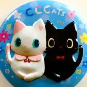 coconut✿の画像