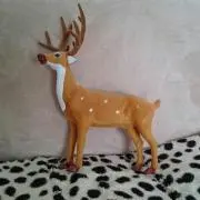 かぽの画像