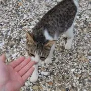 タクヤ