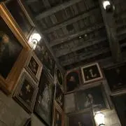 セロリの画像
