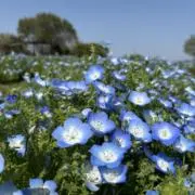 りー
