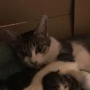 hikaruの画像