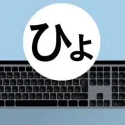 ヒョードルの画像