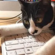 Kayの画像