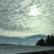 Uの画像