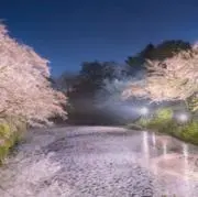 Rの画像