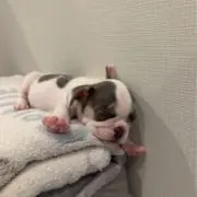 ☺︎の画像