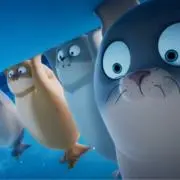 ぽんたの画像