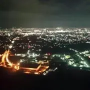 Sugi